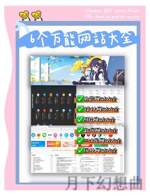 探索半岛最新网站：新资讯与功能体验